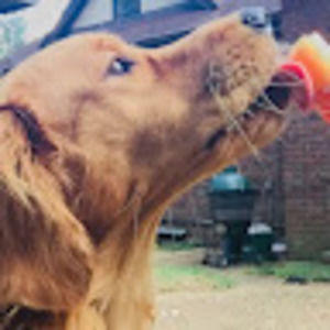 Meet your Posher, Cece